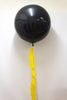 Plain 3ft Latex Balloons