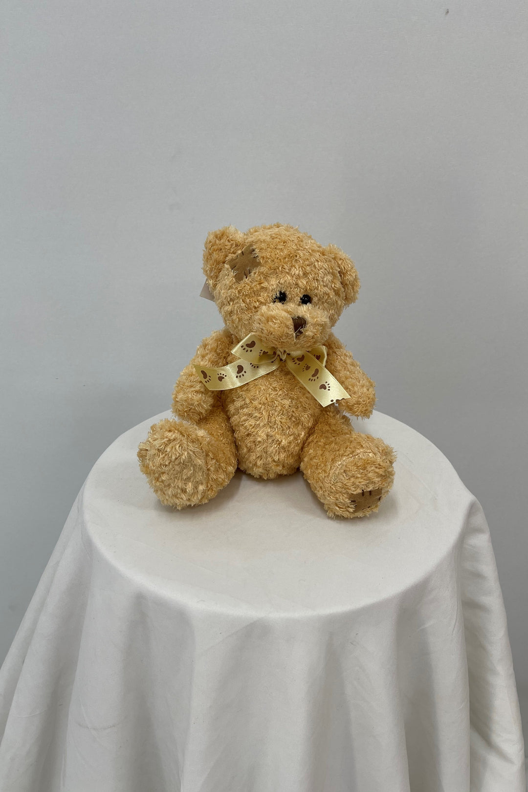 Small Bear