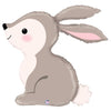 Supershape - Bunny Rabbit